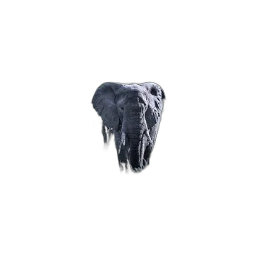 animal, creature, mask, face transparent PNG cut-out