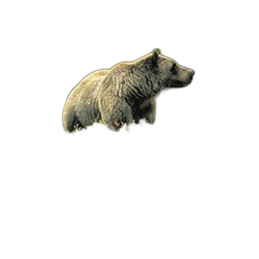 animal, creature, staff, jewelry, concept art, pixel art, 3d render, photorealistic transparent PNG cut-out