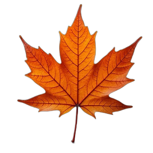tree, crown, flower, photorealistic, earth tones, red, vibrant, orange transparent PNG cut-out
