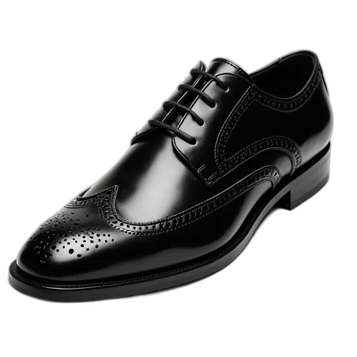 shoes, photorealistic, black, leather, dress, shoe, lace-up, front transparent PNG cut-out