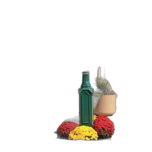 bottle, food, crown, umbrella, photorealistic, 3d render, concept art, pixel art transparent PNG cut-out