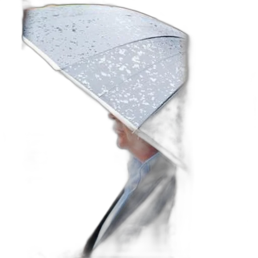 umbrella, hat, staff, sword, photorealistic, 3d render, concept art, rain transparent PNG cut-out