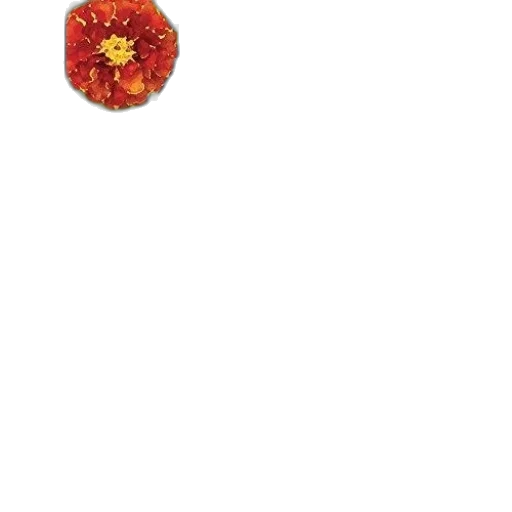 flower, jewelry, crown, staff transparent PNG cut-out