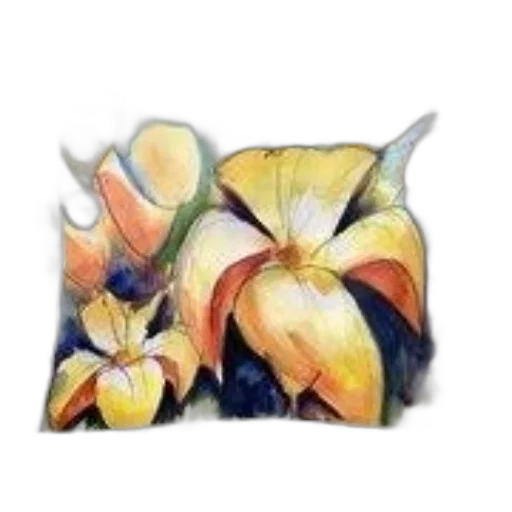 flower, crown, jewelry, hat, watercolor, photorealistic, oil painting, pencil sketch transparent PNG cut-out