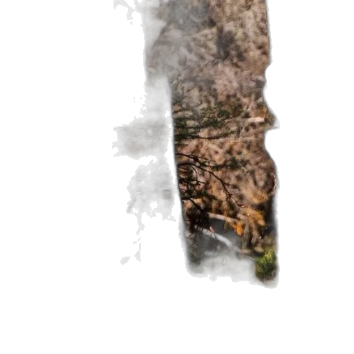 tree, sword, hair, dragon, photorealistic, concept art, 3d render, fantasy art transparent PNG cut-out