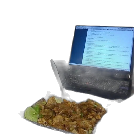 food, dog, sits, desk transparent PNG cut-out
