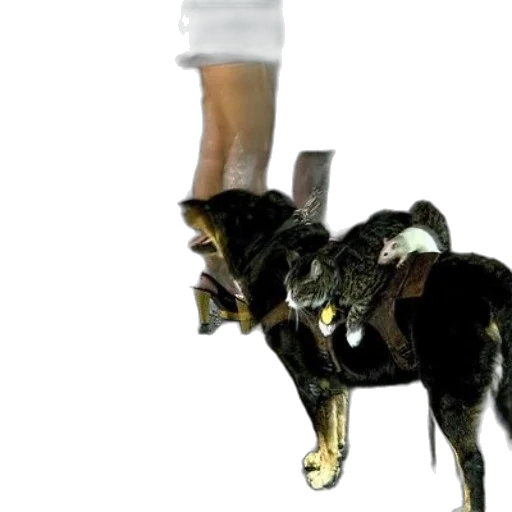 animal, staff, shoes, weapon, concept art, 3d render, photorealistic, cat transparent PNG cut-out