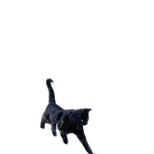 animal, staff, creature, robot, pixel art, 3d render, photorealistic, concept art transparent PNG cut-out
