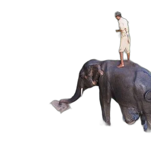 animal, creature, staff, concept art, 3d render, photorealistic, forest, man transparent PNG cut-out