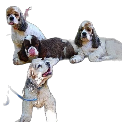 staff, animal, photorealistic, 3d render, oil painting, concept art, four, dogs transparent PNG cut-out