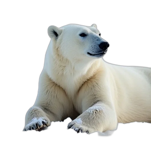 animal, creature, face, staff, photorealistic, 3d render, concept art, polar transparent PNG cut-out