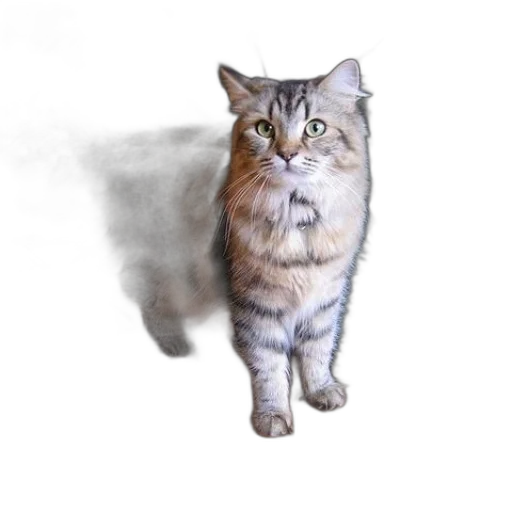 animal, staff, creature, weapon transparent PNG cut-out