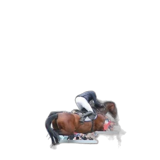 animal, photorealistic, vaporwave, concept art, oil painting, outer space, fire, horse transparent PNG cut-out