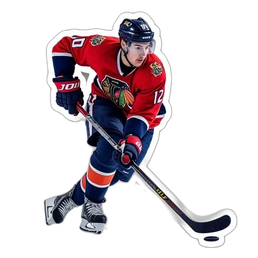 animal, ice, hockey, player transparent PNG cut-out