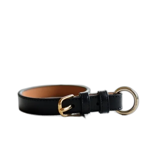 jewelry, staff, crown, dark, black, leather, dog, collar transparent PNG cut-out