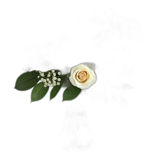 flower, crown, jewelry, staff, photorealistic, 3d render, concept art, watercolor transparent PNG cut-out