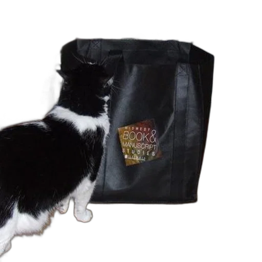 staff, black, white, cat, peers, into, bag, sticker transparent PNG cut-out