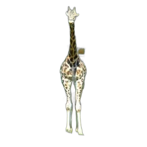 animal, staff, creature, weapon, 3d render, concept art, giraffe, stands transparent PNG cut-out