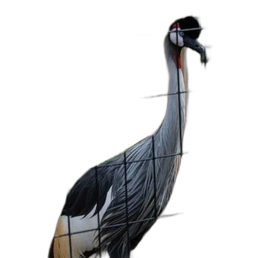 animal, staff, jewelry, creature, concept art, 3d render, photorealistic, watercolor transparent PNG cut-out