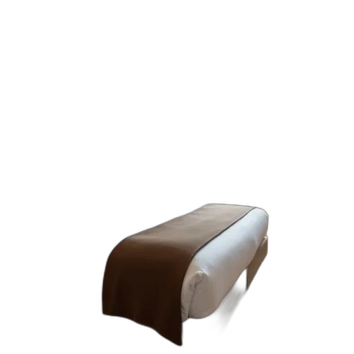 furniture, staff, food, shoes, 3d render, photorealistic, concept art, earth tones transparent PNG cut-out