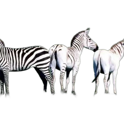 animal, jewelry, creature, furniture, photorealistic, concept art, 3d render, watercolor transparent PNG cut-out