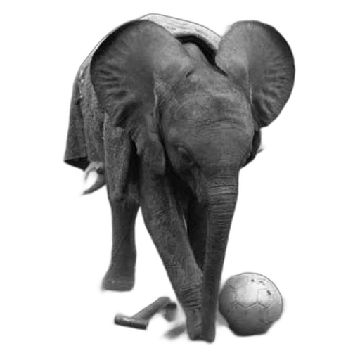 animal, creature, staff, umbrella, photorealistic, concept art, pencil sketch, playful transparent PNG cut-out