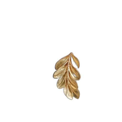 jewelry, crown, flower, hair transparent PNG cut-out