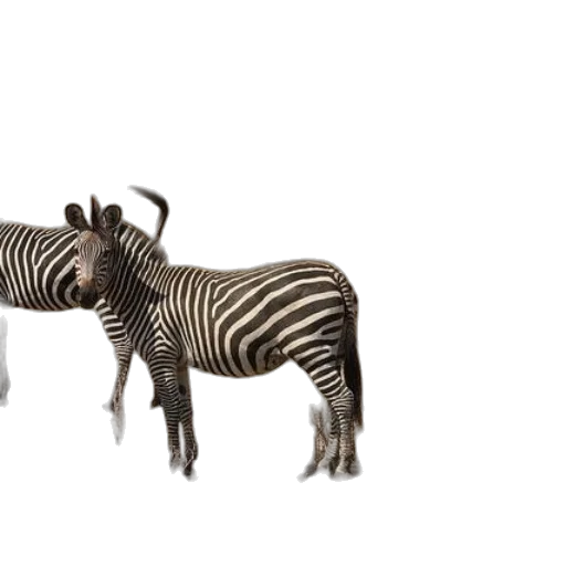 animal, creature, furniture, jewelry, 3d render, concept art, photorealistic, fantasy art transparent PNG cut-out