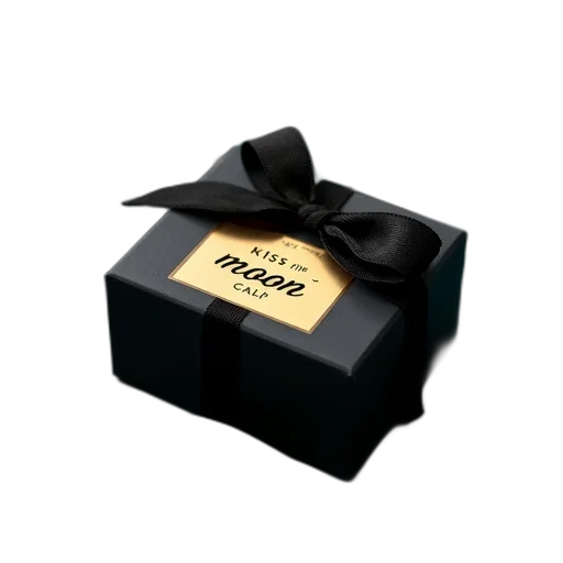 jewelry, food, 3d render, photorealistic, small, black, rectangular, box transparent PNG cut-out