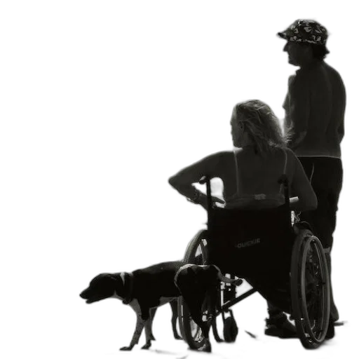staff, concept art, woman, wheelchair, man, stand, beach, dog transparent PNG cut-out