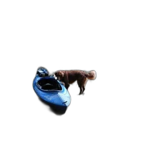 shoes, animal, bottle, umbrella, 3d render, photorealistic, concept art, underwater transparent PNG cut-out