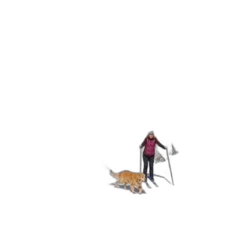 animal, creature, staff, weapon, pixel art, concept art, comic book art, watercolor transparent PNG cut-out