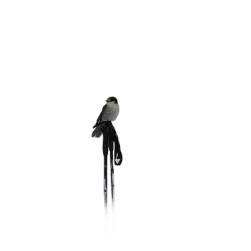 staff, umbrella, animal, sword, 3d render, concept art, photorealistic, pixel art transparent PNG cut-out