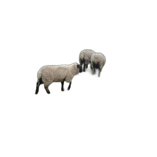 animal, creature, furniture, weapon, 3d render, pixel art, concept art, photorealistic transparent PNG cut-out