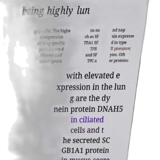 scientific, text, discussing, high, expression, lung-specific, proteins, such transparent PNG cut-out