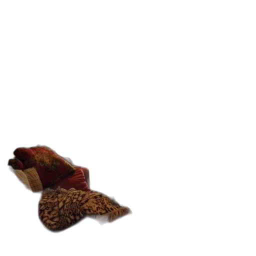 shoes, hat, animal, hair, 3d render, photorealistic, concept art, cozy transparent PNG cut-out