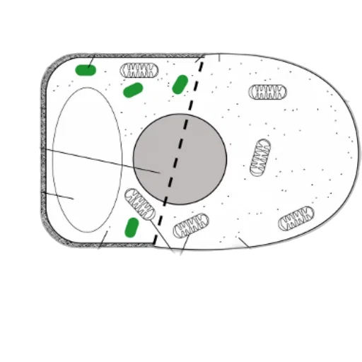 crown, jewelry, weapon, car, concept art, outer space, diagram, comparing transparent PNG cut-out