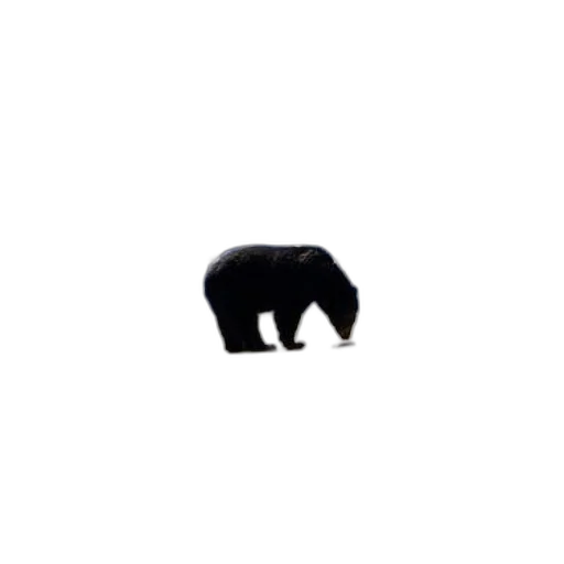 animal, creature, hat, furniture, pixel art, 3d render, concept art, photorealistic transparent PNG cut-out