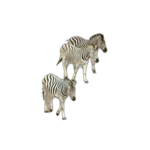 animal, creature, jewelry, furniture, 3d render, concept art, photorealistic, pixel art transparent PNG cut-out