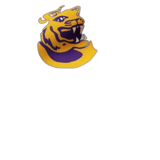 hat, crown, mask, jewelry, 3d render, lsu, football, scarf transparent PNG cut-out