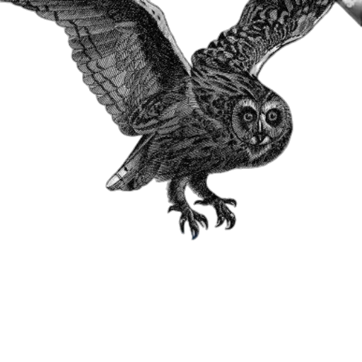 animal, dragon, creature, staff, photorealistic, pencil sketch, concept art, fantasy art transparent PNG cut-out