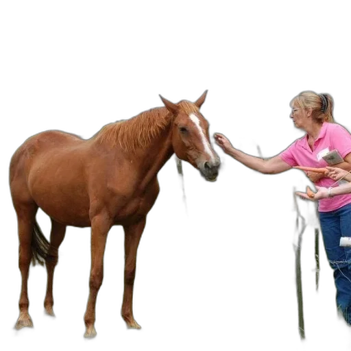 animal, staff, photorealistic, woman, pink, shirt, pets, brown transparent PNG cut-out
