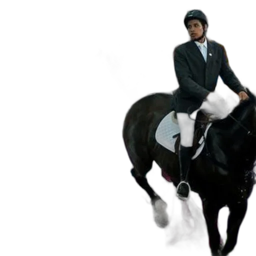 jacket, hat, animal, concept art, rider, black, horse, jumps transparent PNG cut-out