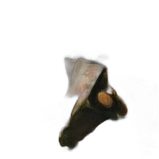 animal, creature, shoes, hat, photorealistic, 3d render, concept art, oil painting transparent PNG cut-out