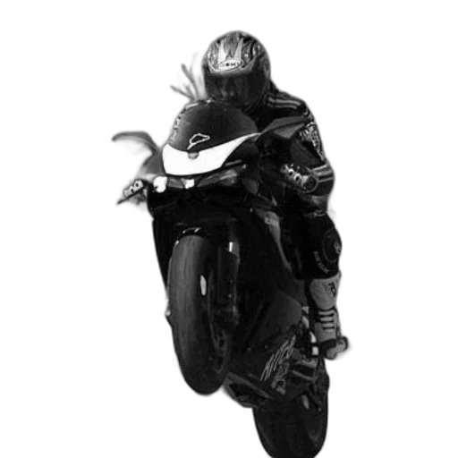 dragon, weapon, animal, robot, photorealistic, concept art, 3d render, comic book art transparent PNG cut-out