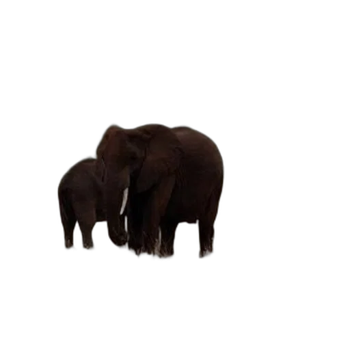 animal, creature, furniture, staff, 3d render, concept art, photorealistic, pixel art transparent PNG cut-out