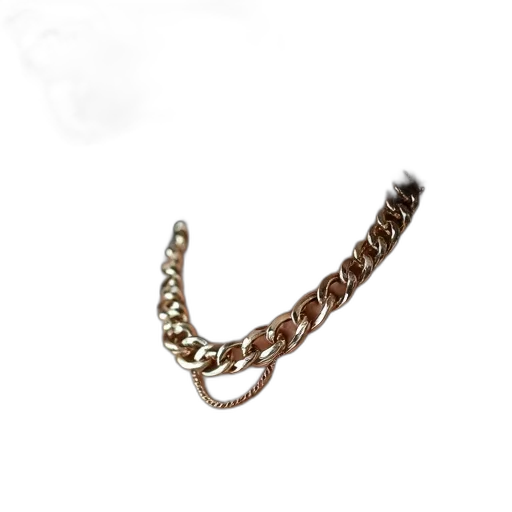 jewelry, staff, hair, crown transparent PNG cut-out