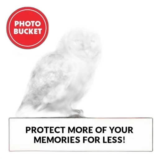 mask, hat, animal, jacket, photorealistic, white, owl, black transparent PNG cut-out