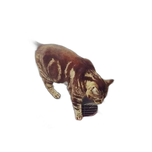 animal, creature, staff, weapon, 3d render, photorealistic, concept art, oil painting transparent PNG cut-out