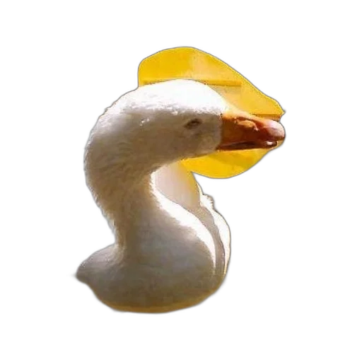 animal, mask, hat, food, 3d render, photorealistic, concept art, golden transparent PNG cut-out